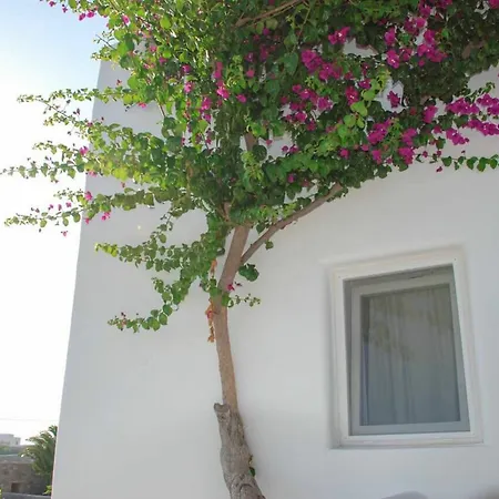 Apartment Aletro